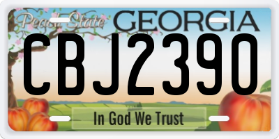 GA license plate CBJ2390