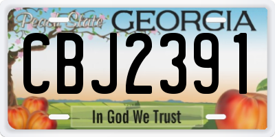 GA license plate CBJ2391