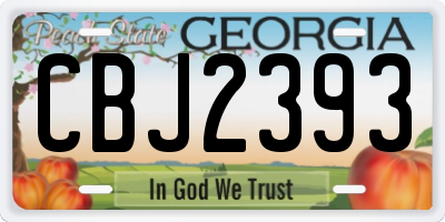 GA license plate CBJ2393