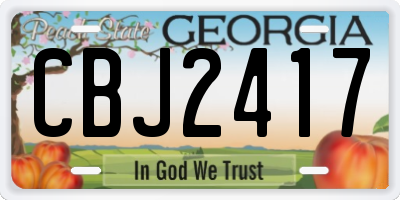 GA license plate CBJ2417