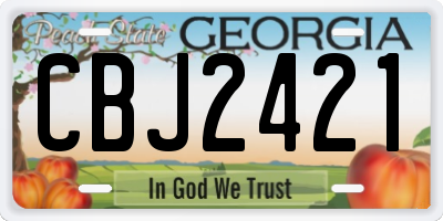GA license plate CBJ2421