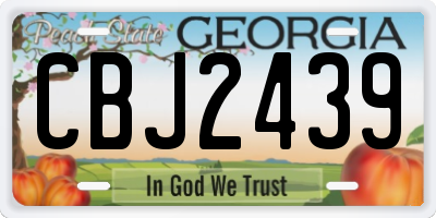GA license plate CBJ2439