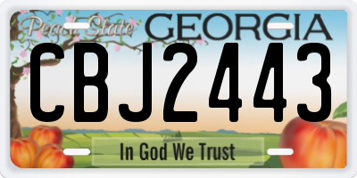 GA license plate CBJ2443