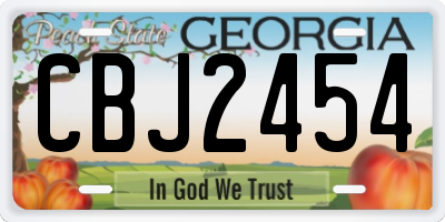 GA license plate CBJ2454
