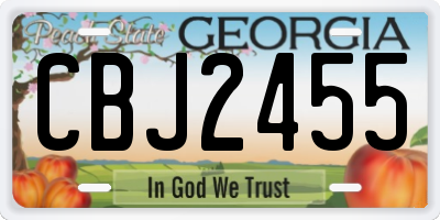 GA license plate CBJ2455