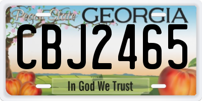 GA license plate CBJ2465