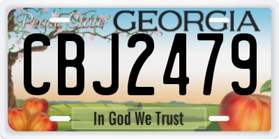 GA license plate CBJ2479