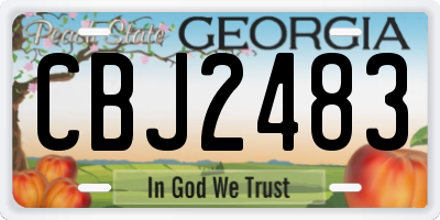 GA license plate CBJ2483