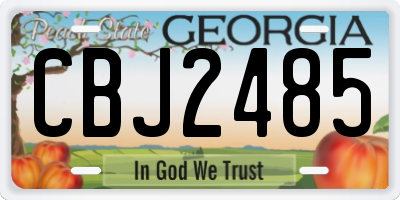 GA license plate CBJ2485