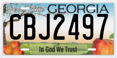 GA license plate CBJ2497