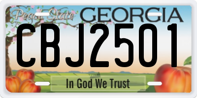 GA license plate CBJ2501