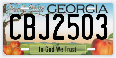 GA license plate CBJ2503