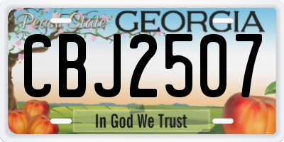 GA license plate CBJ2507