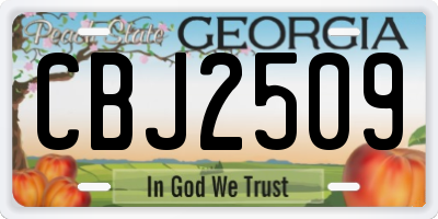 GA license plate CBJ2509