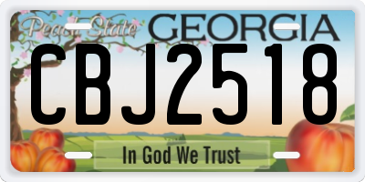 GA license plate CBJ2518