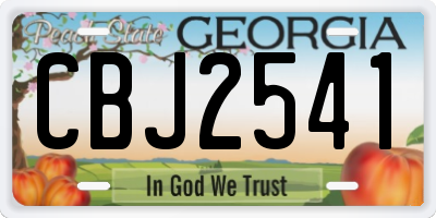 GA license plate CBJ2541