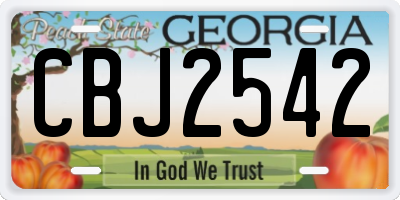 GA license plate CBJ2542