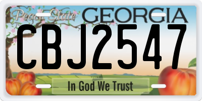 GA license plate CBJ2547