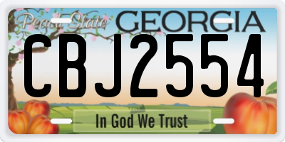 GA license plate CBJ2554
