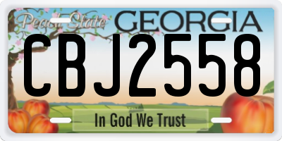 GA license plate CBJ2558