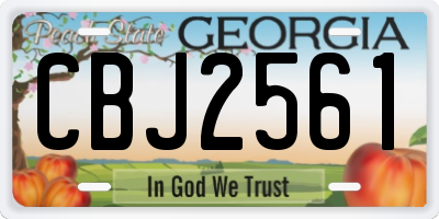 GA license plate CBJ2561