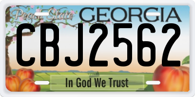 GA license plate CBJ2562