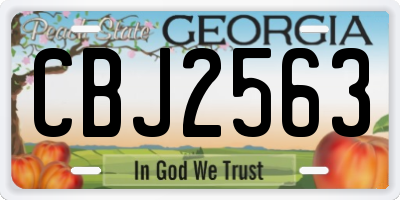 GA license plate CBJ2563