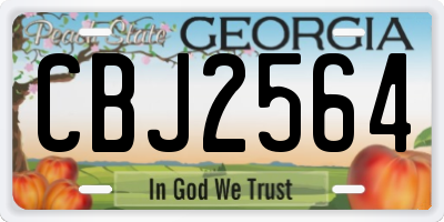 GA license plate CBJ2564