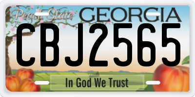 GA license plate CBJ2565