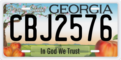 GA license plate CBJ2576