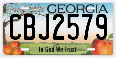 GA license plate CBJ2579