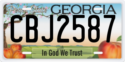 GA license plate CBJ2587