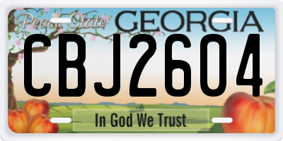 GA license plate CBJ2604
