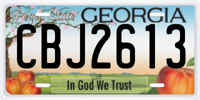 GA license plate CBJ2613