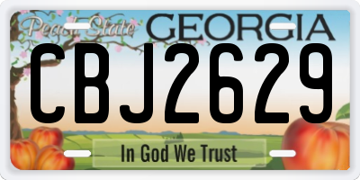 GA license plate CBJ2629
