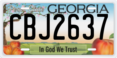 GA license plate CBJ2637