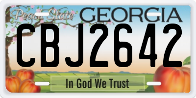 GA license plate CBJ2642