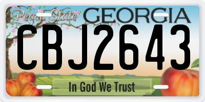 GA license plate CBJ2643