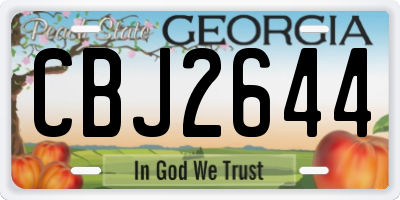 GA license plate CBJ2644