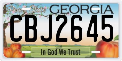 GA license plate CBJ2645