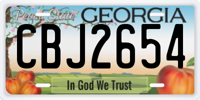 GA license plate CBJ2654
