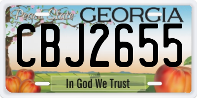 GA license plate CBJ2655