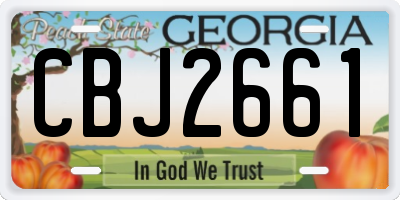 GA license plate CBJ2661
