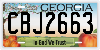 GA license plate CBJ2663