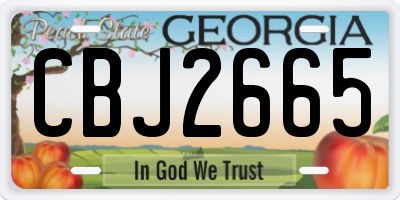GA license plate CBJ2665