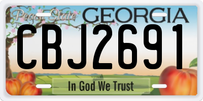 GA license plate CBJ2691