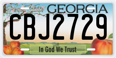 GA license plate CBJ2729
