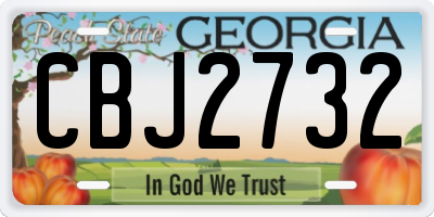 GA license plate CBJ2732