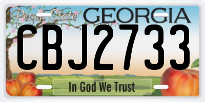 GA license plate CBJ2733