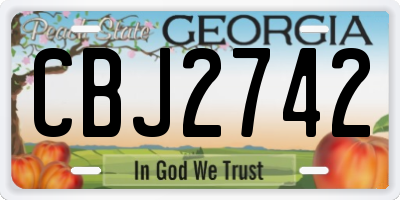 GA license plate CBJ2742